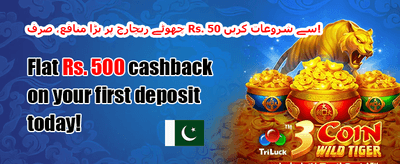 دوست کو دعوت دیں بونس 🤝 promotion